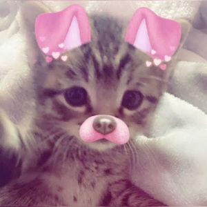 Meet your Posher, Claire